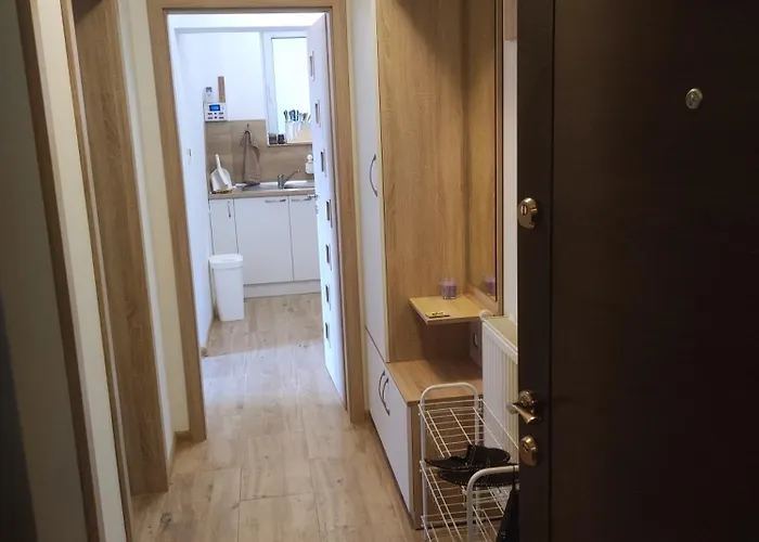 Apartament асеневци *